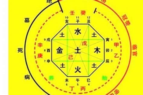 八字喜土的建议|八字喜土注意什么 (八字喜土怎么旺运)